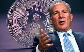 Why the voicepaper project is bitcoin's immune system. Peter Schiff Gold Will Win Once The Bitcoin Btc Bubble Pops