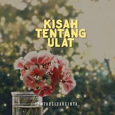Apa Kau Masih Ingat Sebuah Kisah Tentang Ulat Seekor Ulat Kecil Yang Hanya Bisa Melihat Setangkai Bunga Terindahnya Dihinggap Masih Ingat Iri Hati Peringatan