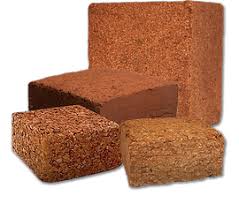 Coco Sheet Blocks