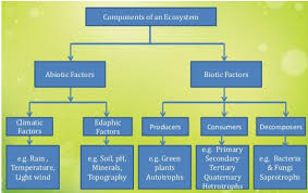 Revision Notes For Science Chapter 15 Our Environment