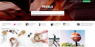 Our team put free photo sites under the microscope, analyzing the image quality, the licensing type, the background, and the legal safety of each of them to pick only the ones worthy of our recommendation. 10 Websites For Free Stock Photos That Don T Suck Filestage Blog