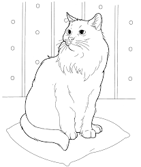 Elegant cat with large tail. Cat Coloring Pages For Adults Best Coloring Pages For Kids