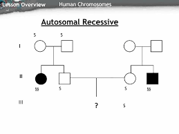 Autosomal Recessive Pedigree