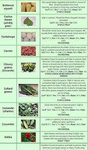 Bearded Dragon Food Chart B Food B List Pg2 B Bearded Dragon B Pinterest B Food B Lists And Bearded Dragon Food Bearded Dragon Diet Bearded Dragon