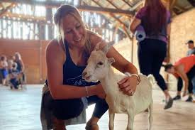 At ferrari farms, we believe in growing more than flowers and vegetables. Baby Goat Yoga At Ferrari Farms Nevada Moms