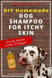 Diy Natural Dog Shampoo For Itchy Skin All Natural Home Homemade Dog Shampoo Natural Dog Shampoo Dog Itchy Skin Remedy