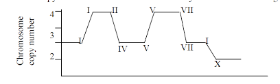 Interpreting Graph Of Mitosis And Meiosis Biology Stack