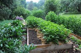 Check spelling or type a new query. Soil Preparation 7 Ways To Make A Garden Bed A Way To Garden