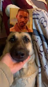 mariah (@mariah.peck)