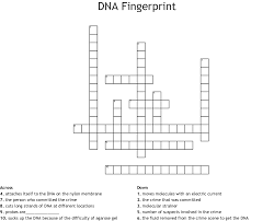 07.04.2019 · dna the genetic material worksheet answers luxury 12 1 dna worksheet from dna fingerprinting worksheet answer key. Dna Fingerprinting Worksheet Answer Key Pbs
