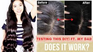 There's a lot of misinformation about gaining back your natural hair color once it's started turning gray or white. Trying The White Hair To Black Hair Naturally In 4 Minutes Diy Does It Work Ft My Dad Beautyklove Youtube