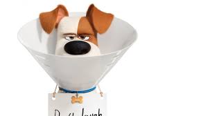 What happened to the entire max and gidget. The Secret Life Of Pets 2 Where To Watch Streaming And Online Flicks Co Nz