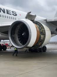 It is the world's largest twinjet. The Plane Continued To Shake Jal Flight Makes Emergency Landing After Engine Damage The Mainichi