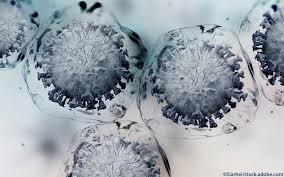 Remdesivir is for use only in people with since remdesivir is given by a. Coronavirus Gelbe Liste