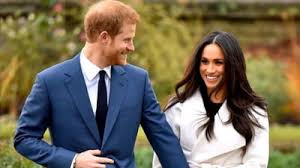 Potrivit presei britanice, ducele si ducesa de sussex au adoptat un labrador. Meghan Markle Printul Harry Ziare Com Mobile