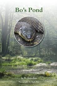 Bo's Pond : Boe, Mark, Antrobus, R: Amazon.com.mx: Libros