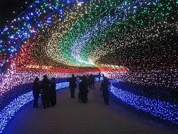 Japan S Spectacular Tunnel Of Lights Nabana No Sato Japan Photo Winter Light
