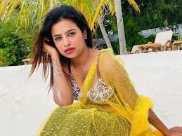 What Actress Sonu Gowda Said To Trolls Blaming Her For Varun Aradhya and  Varsha Kaveris Breakup | Movies News - News18