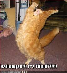 Hallelujah It S Friday Funny Christian Memes Funny P Friday Humor