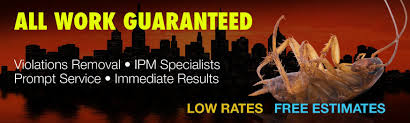 Our staff of over 40 courteous, professionally trained and. About Dial A Bug Pest Control Ny Pest Control Extermination