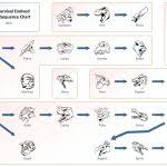 kibble flow chart ark example survival evolved aberration