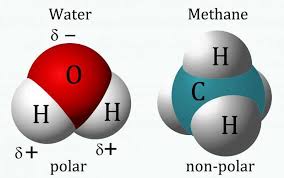 To determine the polarity of a covalent bond using numerical means, find the difference between the electronegativity of the atoms; What Kind Of Life Would We Find On Titan