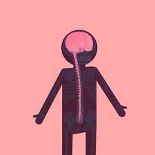 A bionic body is closer than you think. The Central Nervous System Video Biology Ck 12 Foundation