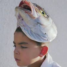 PROTOCOLS (@prtcls) • Instagram photos and videos