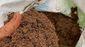 A look at suitable peat alternatives. Consider Easy More Sustainable Alternatives To Peat Moss Abc News