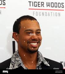 Barry woods hi-res stock photography and images