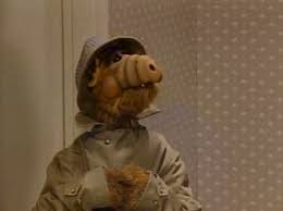 Pin On Alf