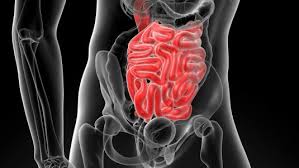 For å belyse mekanismene nærmere ble pasienten undersøkt med elektromyografi av bukveggen og mellomgulvet under anfall (øverst til venstre) og etter langsom intravenøs administrasjon av 100 mg petidin (nederst til venstre). Sirkulasjonsstans I Tarmen Akutt Nhi No