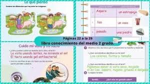 We did not find results for: The Best 13 Paco El Chato Segundo Grado Conocimiento Del Medio