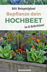 Hochbeet Bepflanzen In 6 Schritten Beispielplan Hochbeet Bepflanzen Garten Pflanzen Und Garten Landschaftsbau