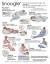 Snoogle Positions