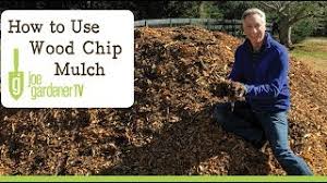 You can also contact a local tree care company for mulch delivery, or purchase natural, wood chip mulch from your local garden store. Where To Find Free Wood Chip Mulch And How To Use It Youtube
