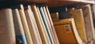 Biographie David Brunat