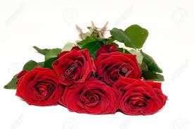 Romantic love love romantic flowers romantic flowers love flowers heart shaped flower background high definition picture romance valentine beautiful nature decoration day gift pink beauty macro ornament valentine39s day season plants wallpaper candle floral lover clouds candlelight white red. Red Rose My Love