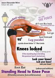 5th Pose Standing Head To Knee Dandayamana Janushirasana Bikram Yoga Poses How To Do Yoga Bikram Yoga