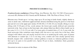 Image result for Pseudocyclosorus