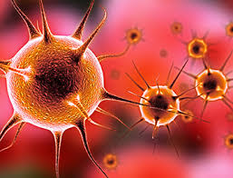 (virology) of or relating to a biological virus. Viral Clearance Merieux Nutrisciences Europe