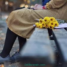 Image result for ‫نه عشق آینه رویی،نه ذوق هم سخنی‬‎