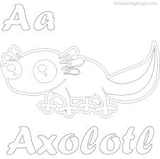 Sampono mexican musical instrument, a bird with a long beak, orizaba is the highest mountain in mexico, axolotl is a rare animal. Pin On Baby Coloring Pages