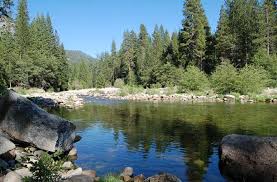 Maybe you would like to learn more about one of these? Cozy Vacation Rental Cabins In Yosemite National Park