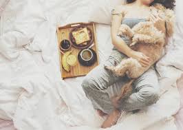 90.000 stichwörter und wendungen sowie 120.000 übersetzungen. Junge Frau Mit Ihrem Hund In Einem Bett Fruhstuck Im Bett Franzosisch Toast Mit Einer Tasse Kaffee Lizenzfreie Fotos Bilder Und Stock Fotografie Image 66151091