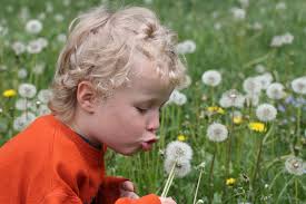 Free Energy Spirituality™ Sessions, Bringing Hope