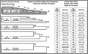 Rubber Band Size Chart Related Keywords Suggestions