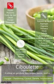 Cuisiner Avec La Ciboulette Nos Recettes Recettes De Cuisine Cuisine Recette