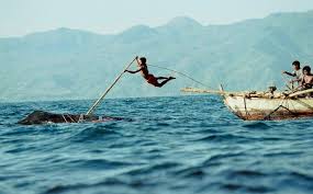 Whale Hunters Of Lamalera Ikan Paus Pulau Berburu