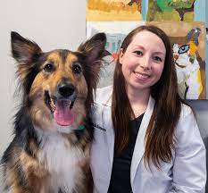 Animal eye care associates offers advanced medical and surgical therapy for the diagnosis and. Meet Our Team Animal Vision Center Of Va